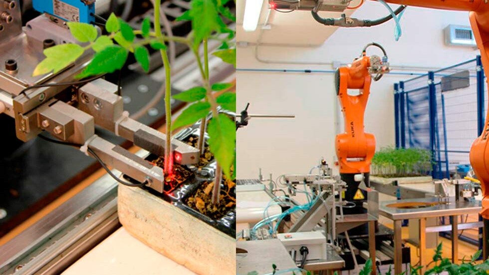 application of robotics in agriculture