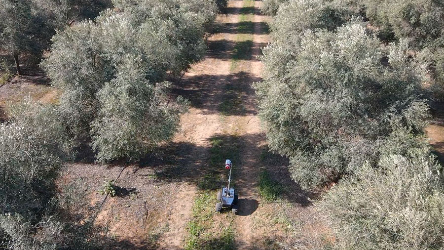 Ejemplo de Aplicaciones de la robótica en la Agricultura: